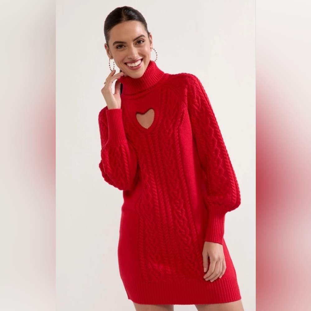 Francesca's Collections Red Turtleneck Sweater Dress